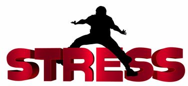 华体会体育在线-NBA球员心理压力识别及干预技术研究，nba球员性格问题