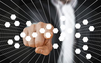 华体会官网下载-智能体育装备数据采集与分析技术研究，智能体育训练系统